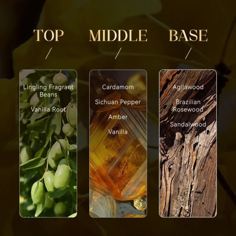 Premium Men’s Perfume 100ml Woody Oriental Scent Long Lasting Light Fresh Fragrance Elegant Versatile for Day and Night Use Gift